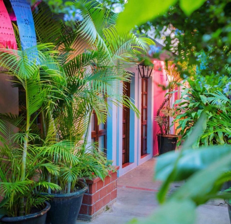 Hotel Las Golondrinas Oaxaca Экстерьер фото