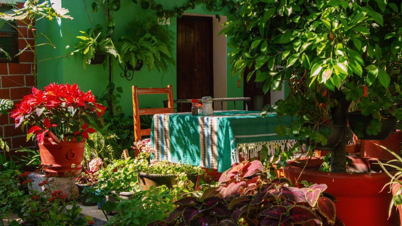 Hotel Las Golondrinas Oaxaca Экстерьер фото