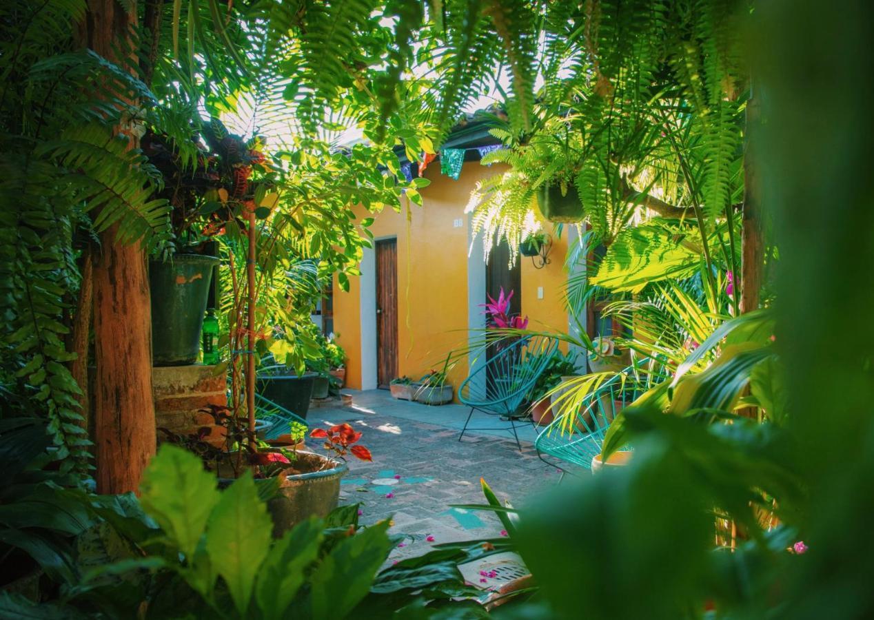 Hotel Las Golondrinas Oaxaca Экстерьер фото